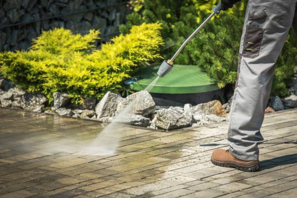 Best Soft Washing  in Plattsburgh West, NY